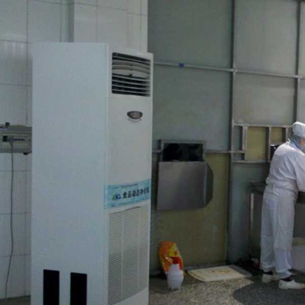 顺义食品正负离子空气杀菌器